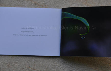 australian photography book for sale